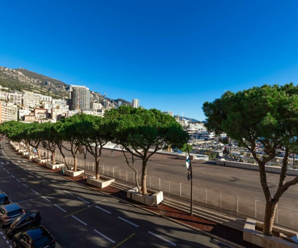 3 CAMERE - ALBATROS | 1/6