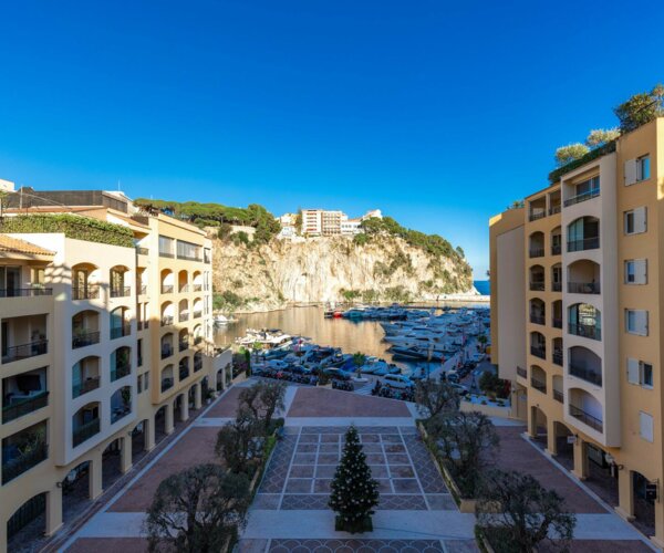 MAGNIFICENT 3 BEDROOM APARTMENT FURNISHED AND RENOVATED - FONTVIEILLE | 1/16
